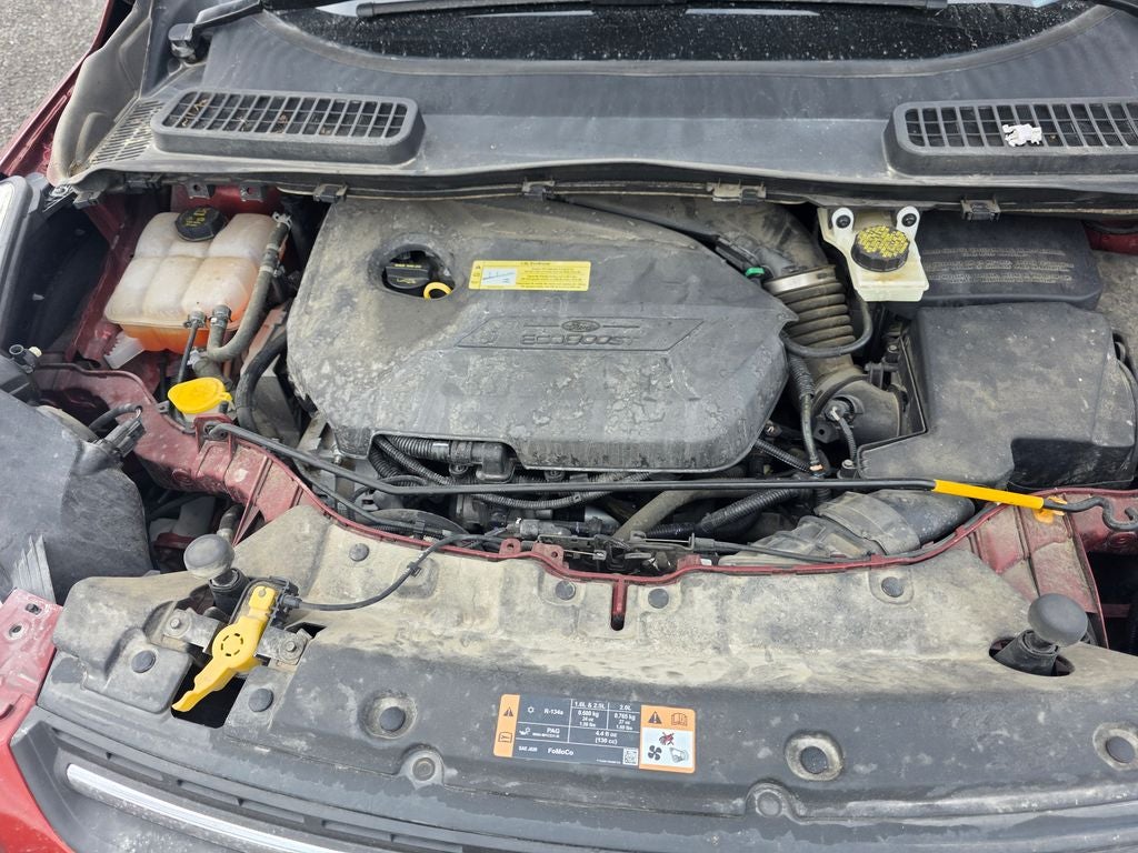 2014 Ford Escape SE